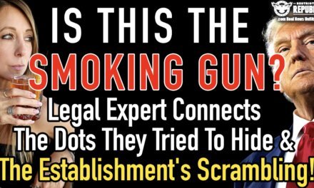 Is This the Smoking Gun? Legal Expert Connects the Dots They Tried to Hide & The Establishment’s Scrambling!